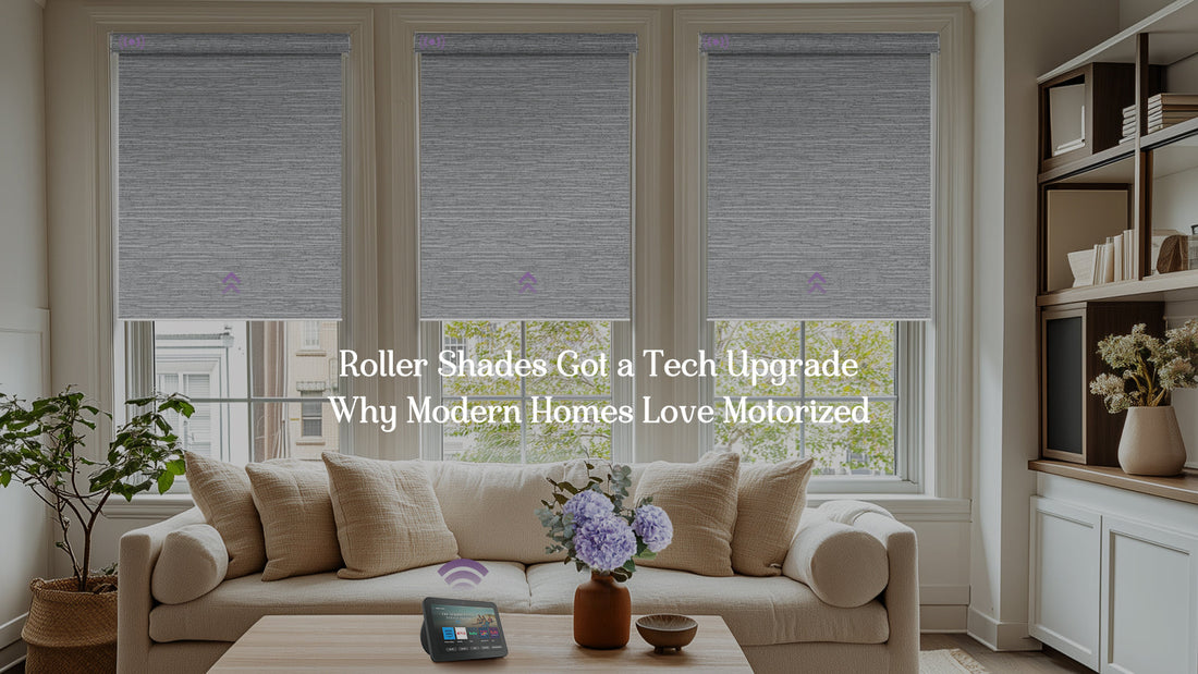 Smart graywind motorized roller shades in modern living room with coffee table and sofa