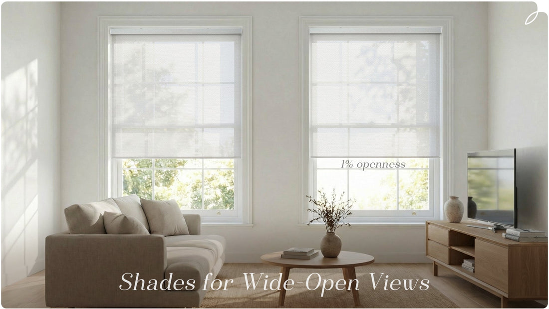 Living room with large windows featuring sheer roller shades, 1% openness, natural light