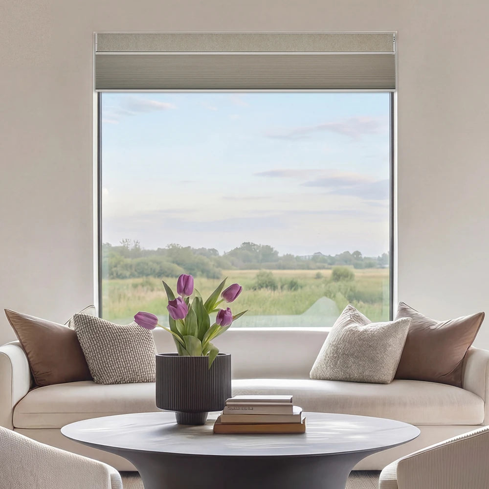 Modern living room with a top down bottom up honeycomb  shade​, coffee table, and window view of greenery.