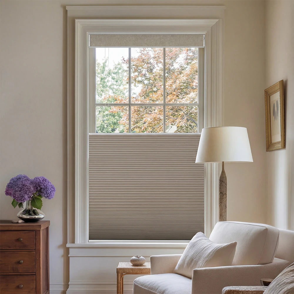 Living room with a window featuring a top down bottom up honeycomb  shade, lamp,and decorative elements.
