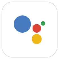 work with Google Assistant