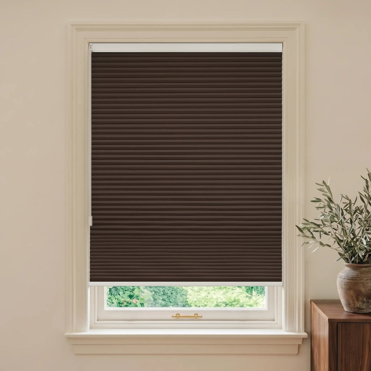 A dark coffee Motionblinds Smart Cellular Shades installed on a white-framed window, shown in a styled room setting with a potted olive branch on a wooden side table.