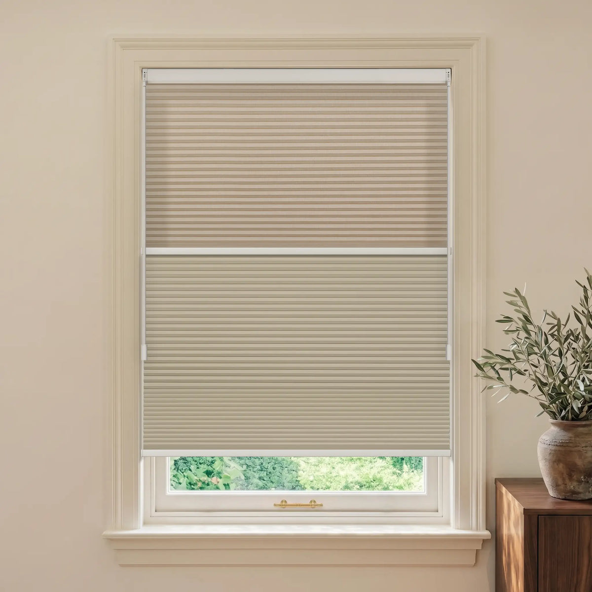 Beige Motionblinds smart Day Night Cellular Shades  with a white header installed on a white window frame, shown in a styled room setting with a potted olive tree on a wooden side table.