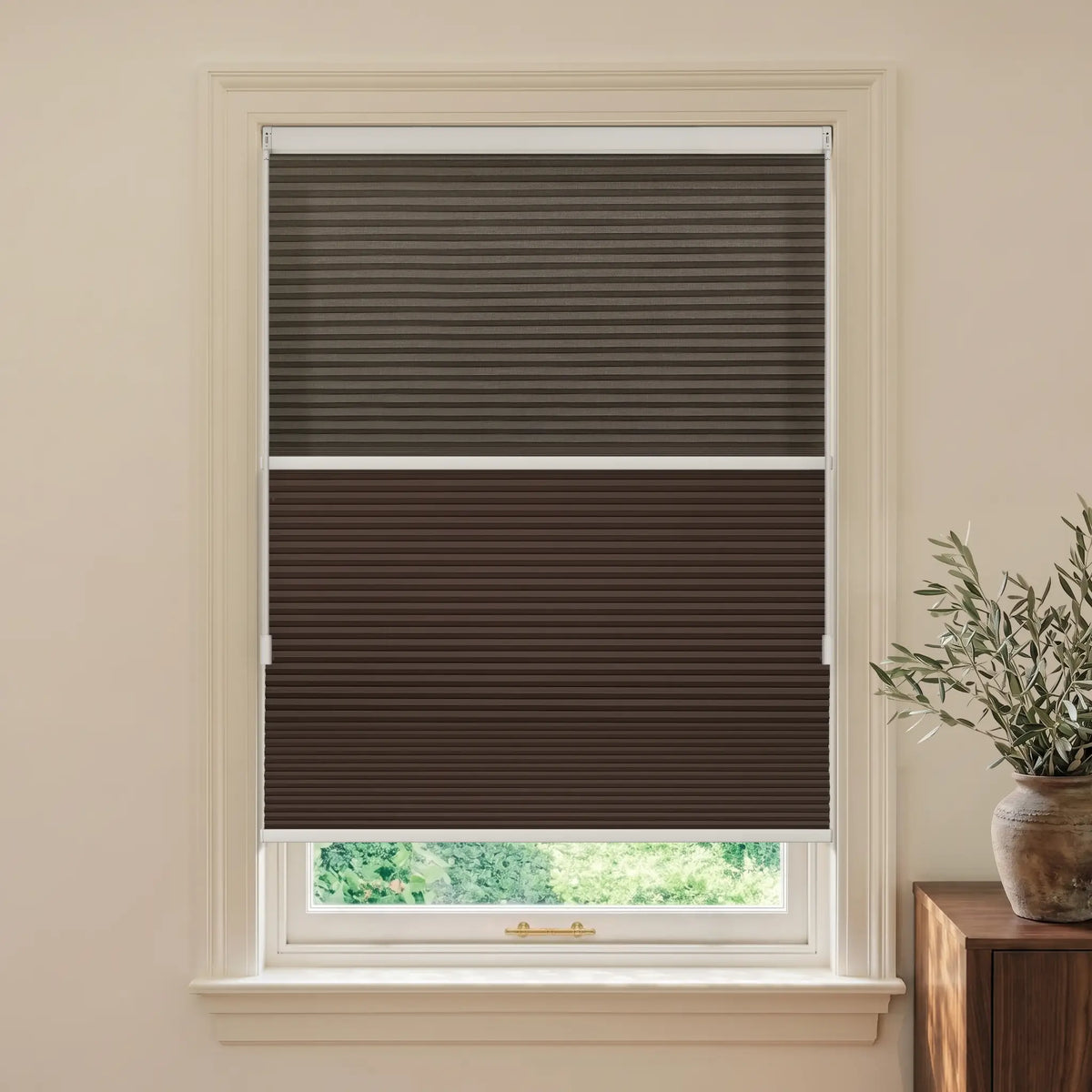 A dark brown Motionblinds smart Day Night Cellular Shades installed on a white-framed window in a beige room, with a small potted plant on a wooden side table to the right.