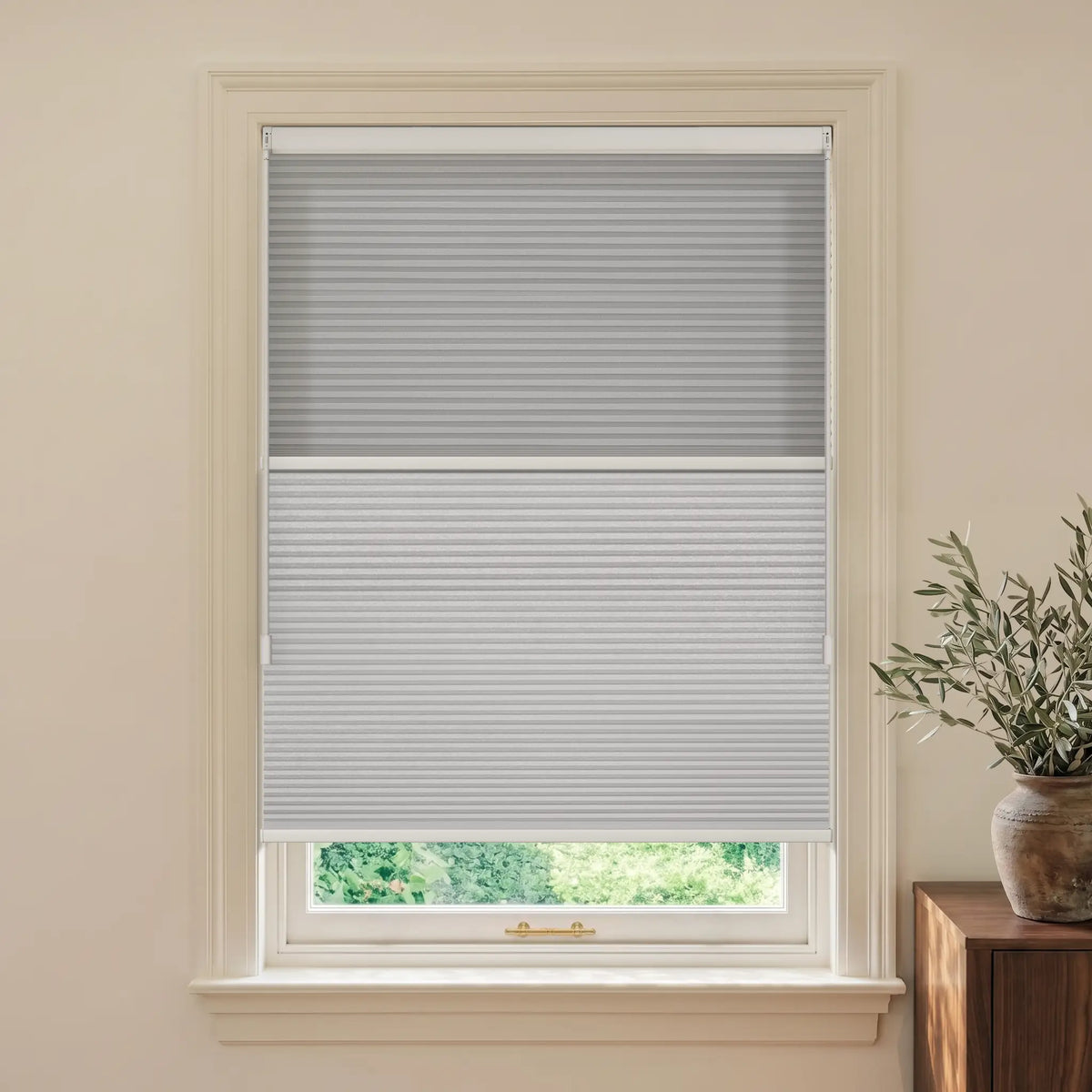 Motionblinds smart Day Night Cellular Shades  partially drawn on a white-framed window, shown in a styled interior setting with a cream wall, green foliage outside, and a potted plant on a wooden side table.