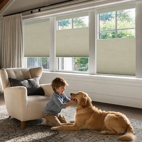 A child kneels on a patterned rug in a bright living room, interacting with a golden retriever while three window-mounted Motorized Top Down Bottom Up Cellular Shades  partially cover the windows behind them.
