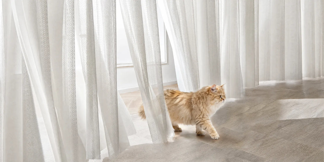 A fluffy orange tabby cat walks across a light wood floor in a bright room with white Smart Sheer Vertical Blinds.