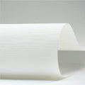Raw Rhythm (White)