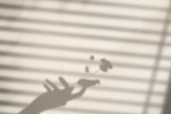 Soft natural light casting playful shadows through Graywind window shades