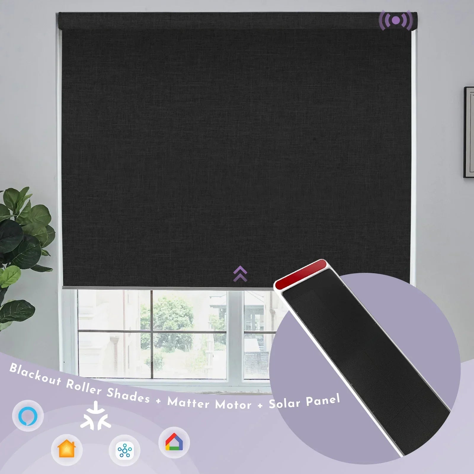 Graywind Motorized Roller Shades | Blackout | Matter Bundle