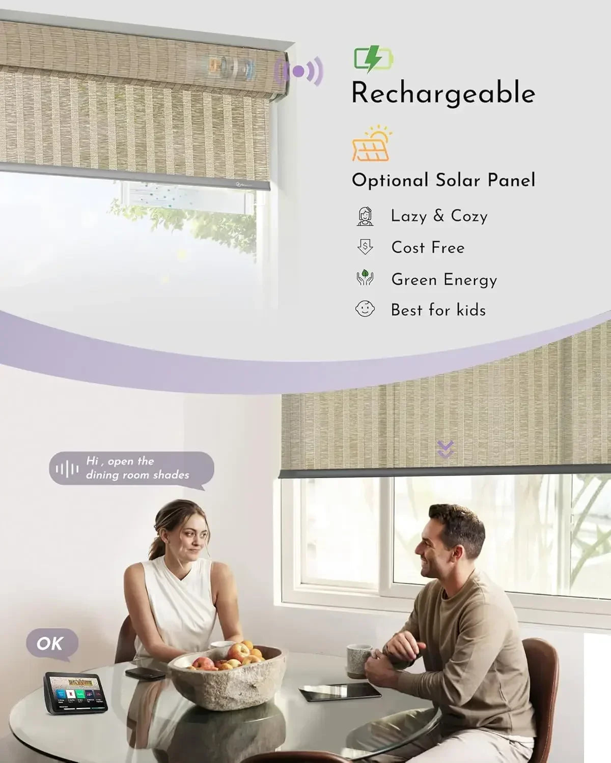 Graywind Motorized Roller Shades Nature Series