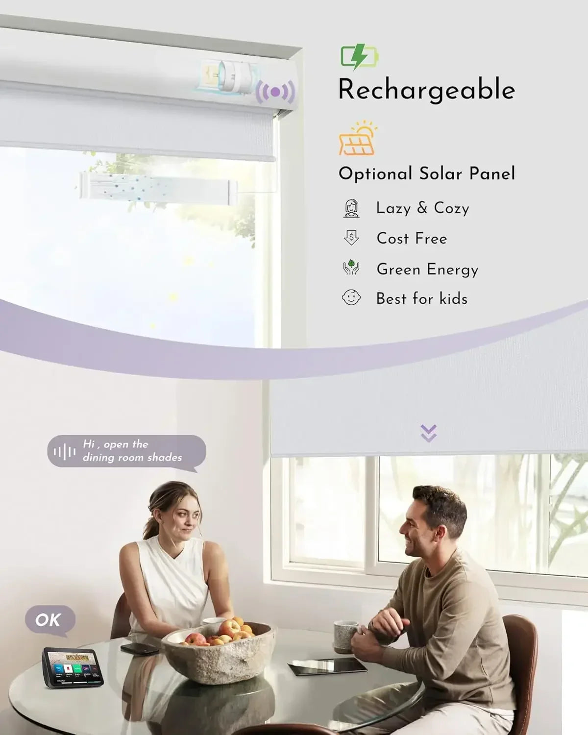 Graywind Motorized Blackout Roller Shades | Vinyl Series